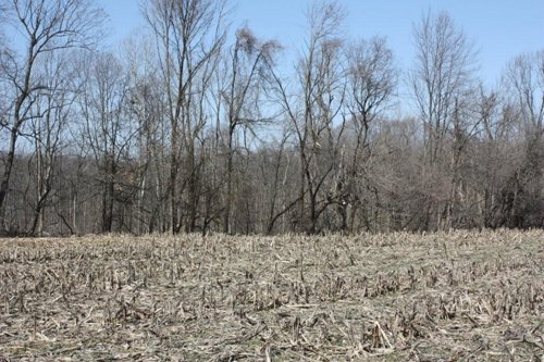 Property photo 5 - 200+/- Acre Land Auction in Gibson County, Indiana